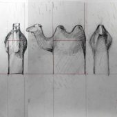 Kamel "Djur I Världen" skisser till gjutna glasföremål, 1993.